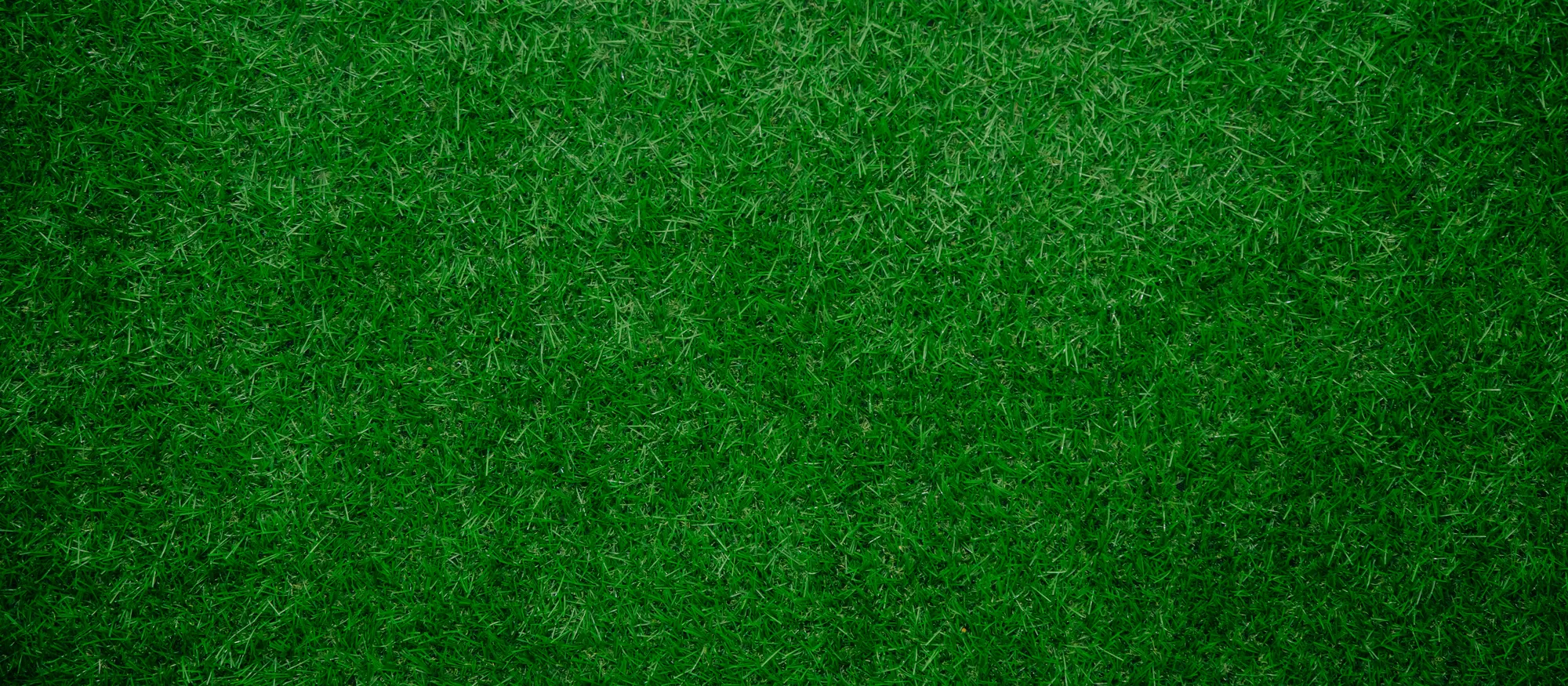 Close-up of artificial grass fibres and backing showing pile density and stitch rows